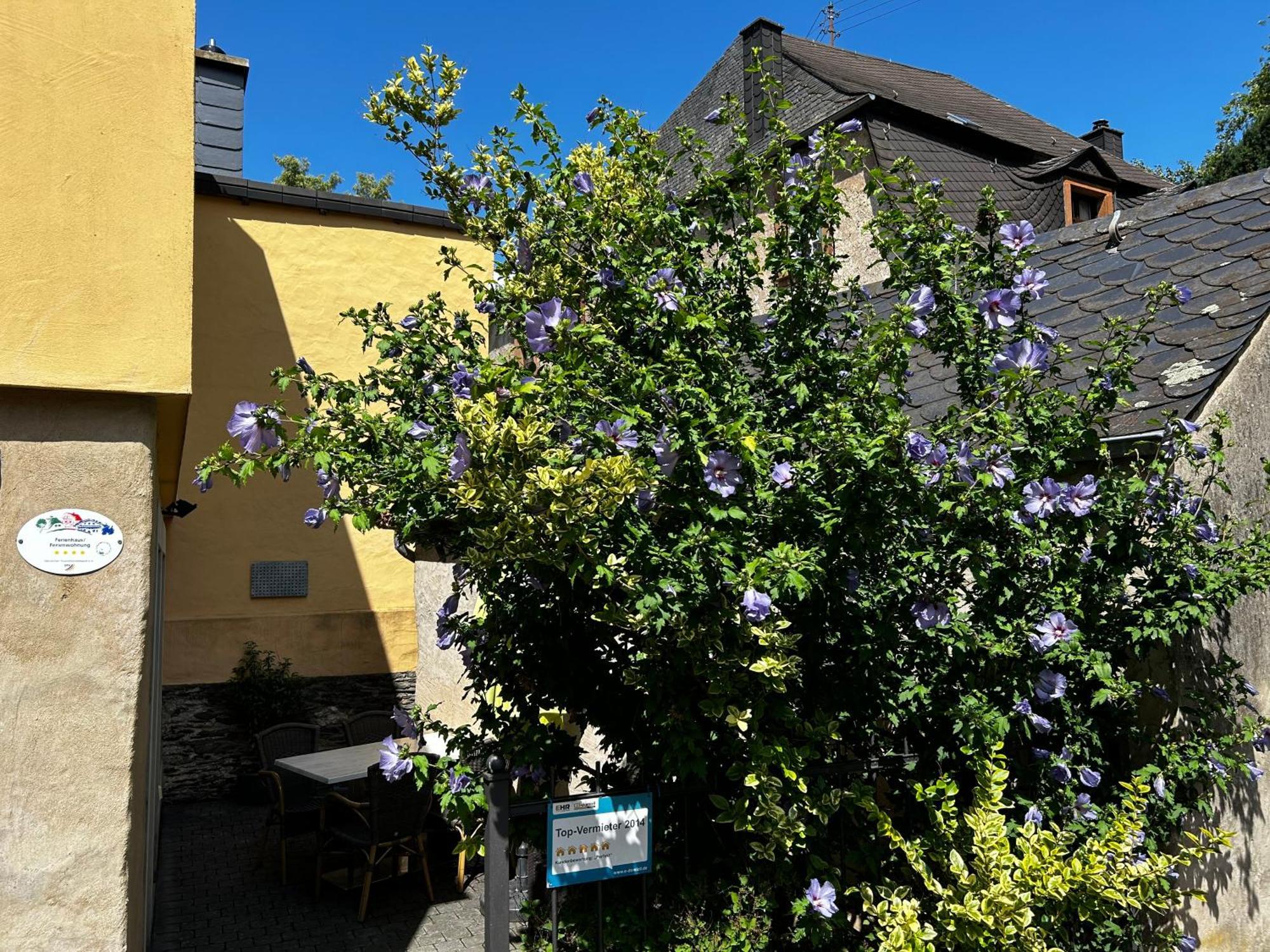 Ferienhaus Ausonius Neumagen-Dhron Exterior foto